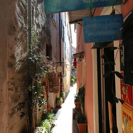 Le Notti Mediterranee Affittacamere Cervo